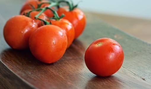 Ripe tomatoes for salsa roja